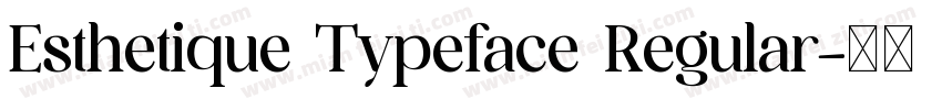 Esthetique Typeface Regular字体转换